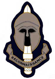 Special Reconnaissance Regiment Collection