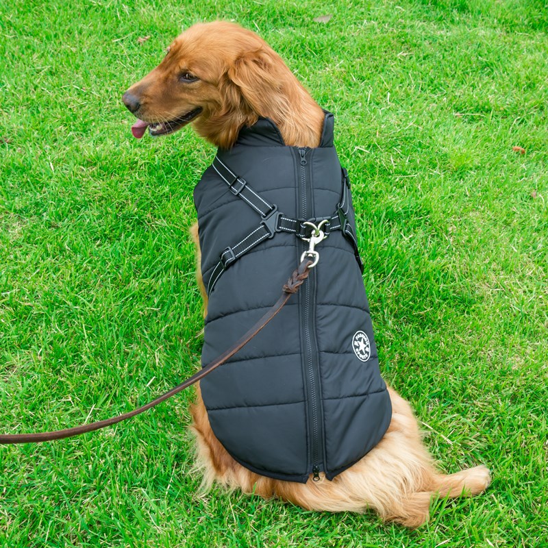 Dog wearing a black puffer vest on a grassy field