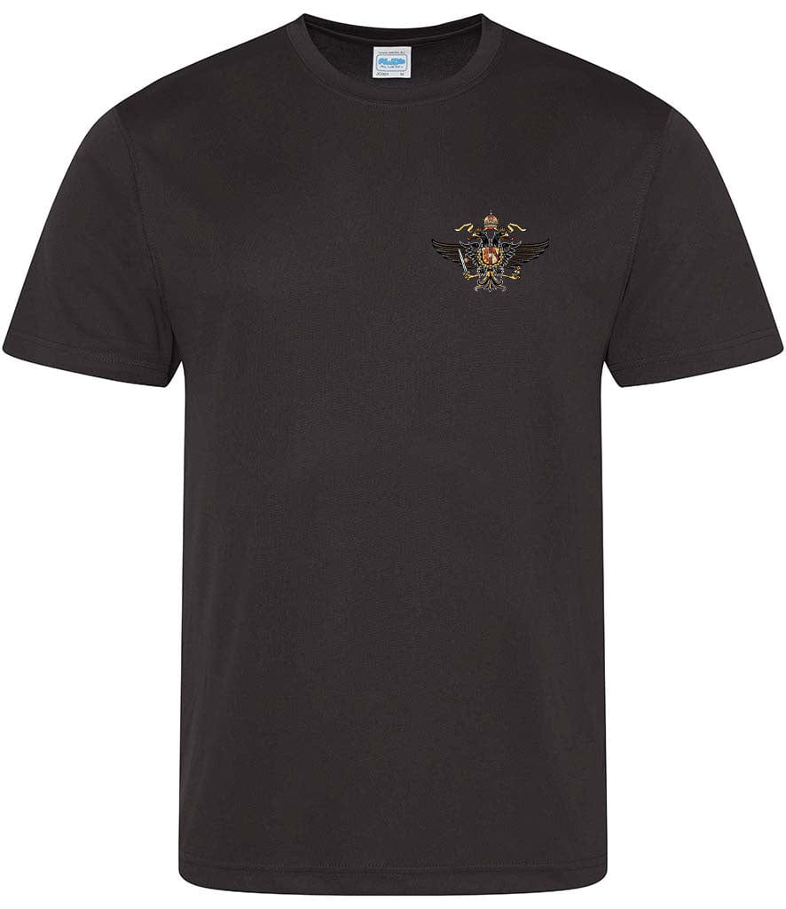 1st The Queen's Dragoon Guards Sports T-Shirt