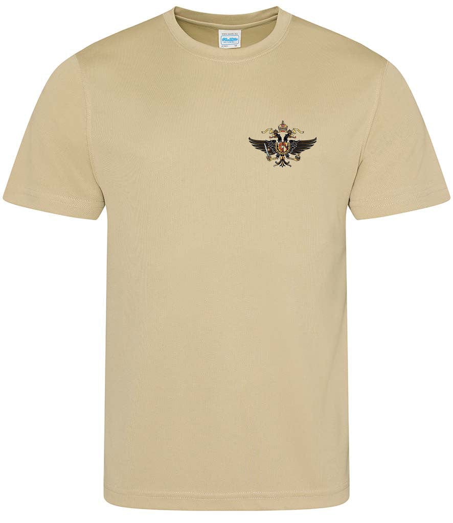 1st The Queen's Dragoon Guards Sports T-Shirt