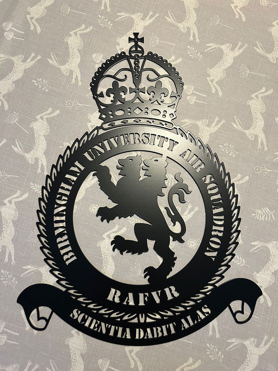 birmingham-university-air-sqn-logo