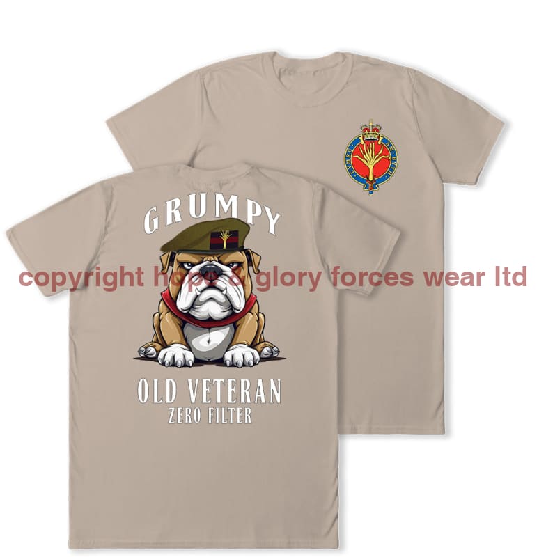 Grumpy Old Welsh Guards Veteran Double Print T-Shirt