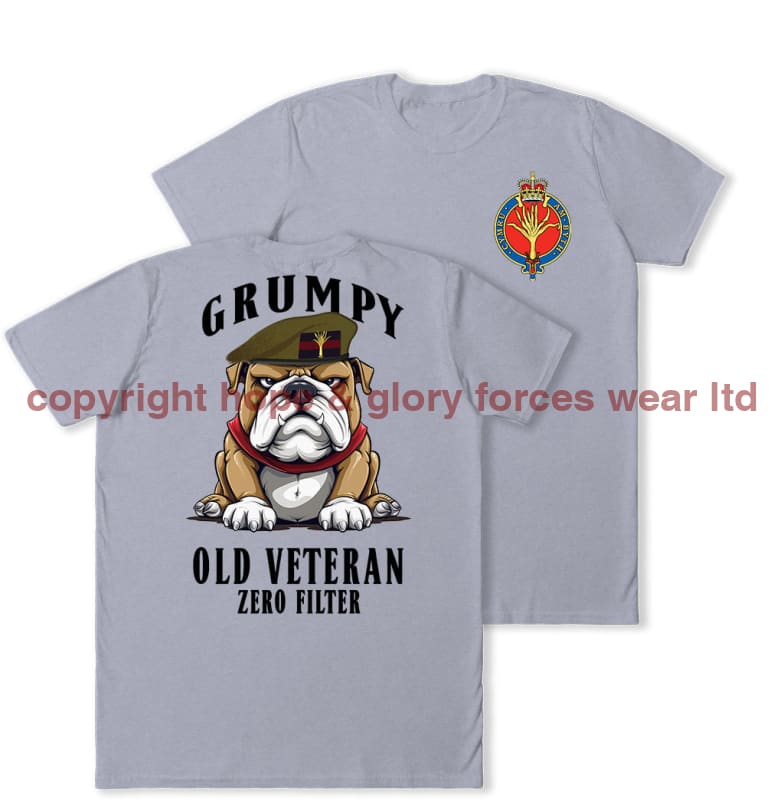Grumpy Old Welsh Guards Veteran Double Print T-Shirt