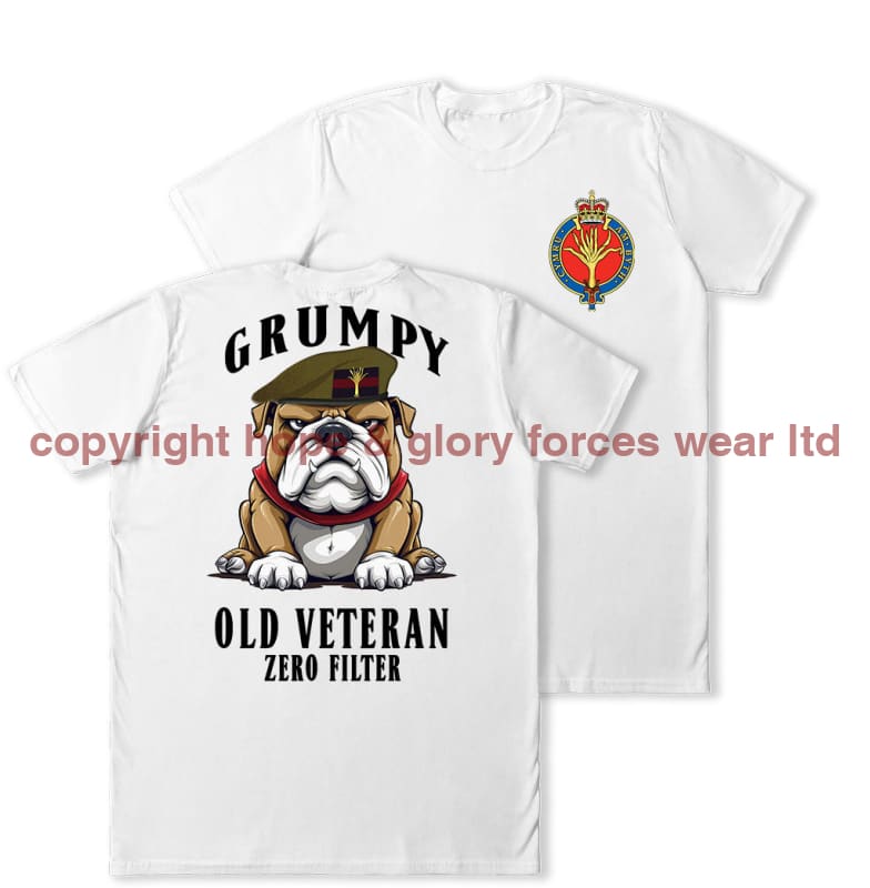 Grumpy Old Welsh Guards Veteran Double Print T-Shirt