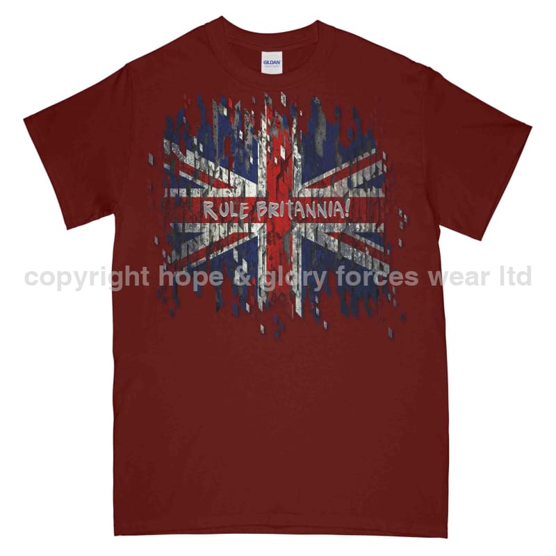 Rule Britannia Digital British Union Jack Printed T-Shirt