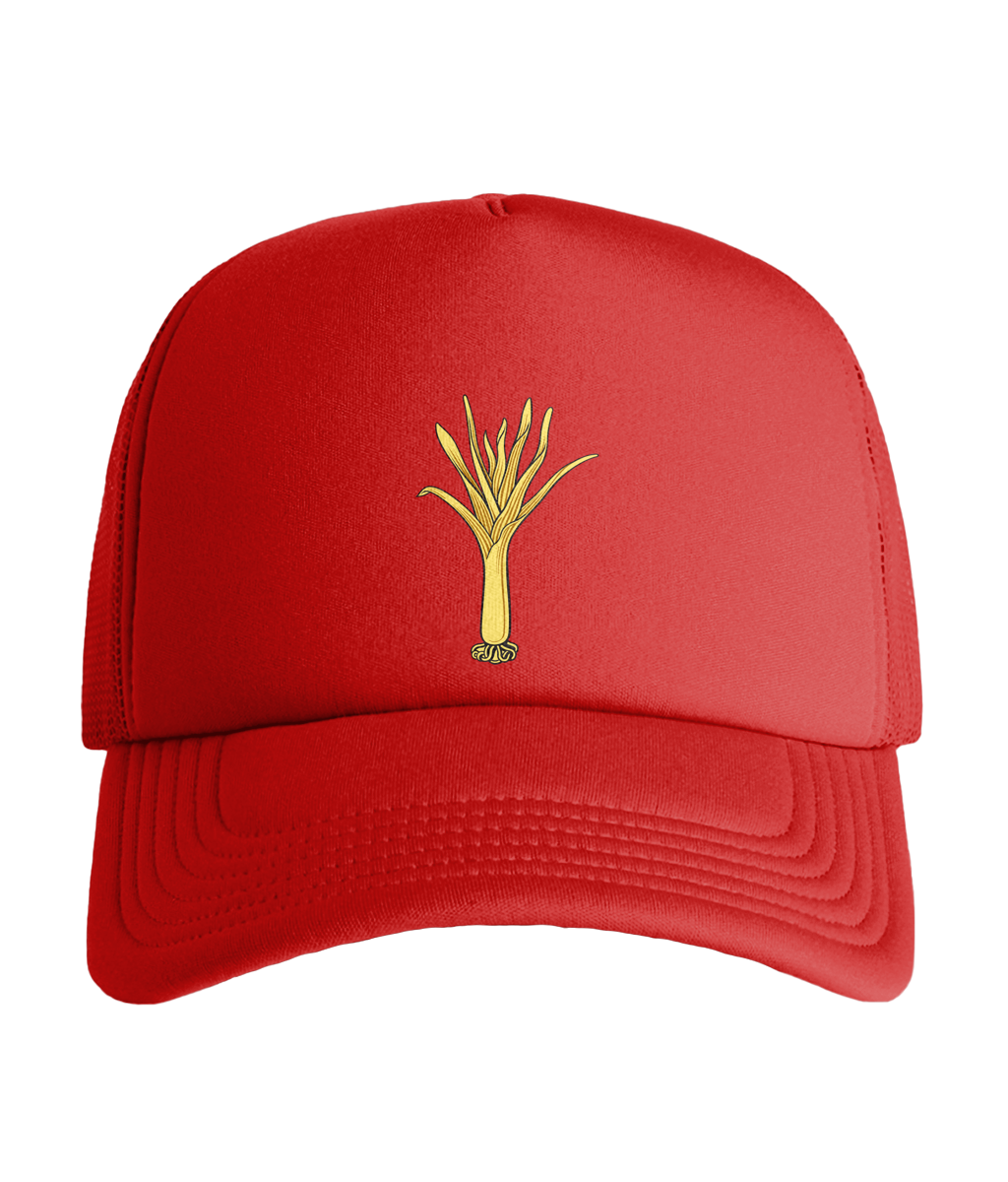 Welsh Guards Cap