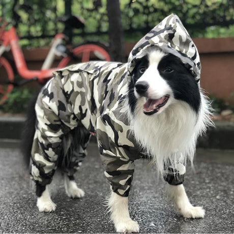 Forces Dog Accessories