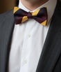 The Prince of Wales's Own Regiment of Yorkshire (PWO Yorks) Pre-Tied Bow Tie