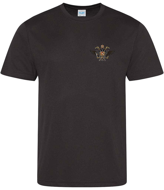 1st The Queen's Dragoon Guards Sports T-Shirt
