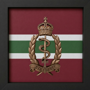 Royal Army Medical Service Brass Hand Painted King's 3D Cap Badge Display Frame