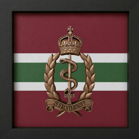 Royal Army Medical Service Brass Hand Painted King's 3D Cap Badge Display Frame