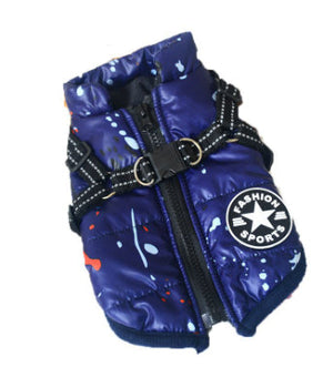 Blue dog coat with a star logo on a white background