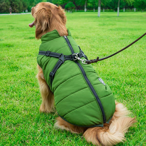 Dog wearing a green puffer vest in a grassy park