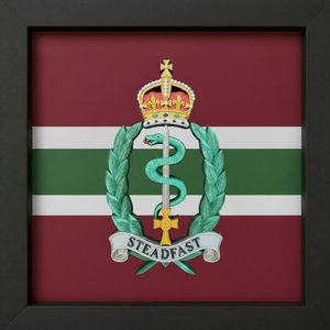 Royal Army Medical Service Cap Badge Display Frame