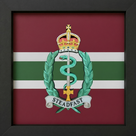 Royal Army Medical Service Cap Badge Display Frame