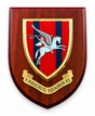 9 Parachute Sqn RE - Wall Shield Plaque 