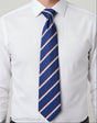 Army Air Corps Regimental Tie