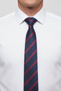 Duke of Edinburgh's Royal Regiment (DERR) Regimental Tie