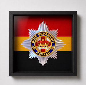 4th/7th Royal Dragoon Guards Cap Badge Display Frame 