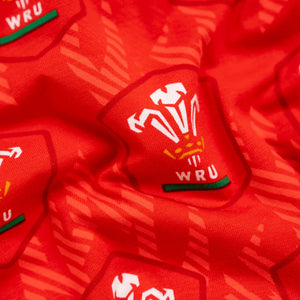 OddBalls Mens Welsh Rugby Boxer Shorts