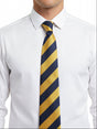 The Princess of Wales' Royal Regiment (PWRR) Regimental Tie