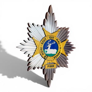 The Worcestershire and Sherwood Foresters Cap Badge | Officially Licensed