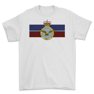 RAF Royal Air Force Eagle Colours Printed T-shirt
