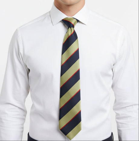 The Royal Gloucestershire, Berkshire and Wiltshire Regiment (RGBW) Regimental Tie