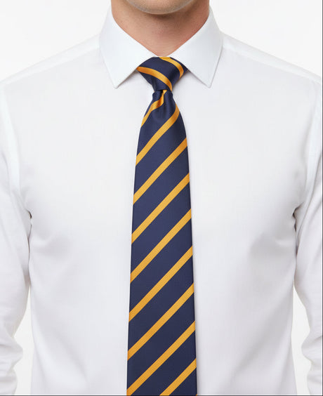 The Royal Warwickshire Fusiliers Regimental Tie