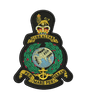 Royal Marines Large Patch