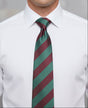 The Sherwood Foresters (Notts & Derby) Tie