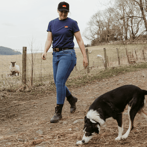 Sugar Loaf Territory T-Shirt - Indigo Blue