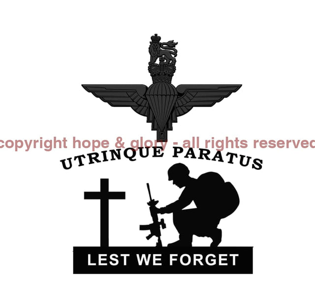 Add Embroidered Badge On Back Of Shirt Para Wings With Utrinque Paratus Above Lest We Forget
