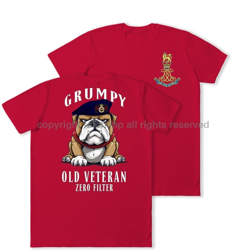 Grumpy Old Life Guards Veteran Double Print T-Shirt