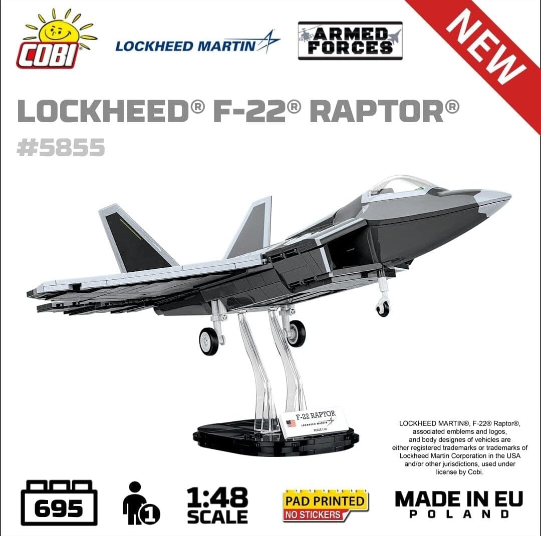 Lockheed F-22 Raptor brick plane model 