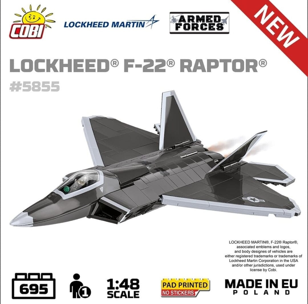 Lockheed F-22 Raptor brick plane model 