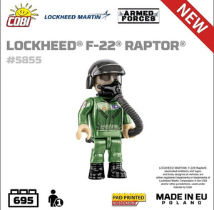 Lockheed F-22 Raptor brick plane model 