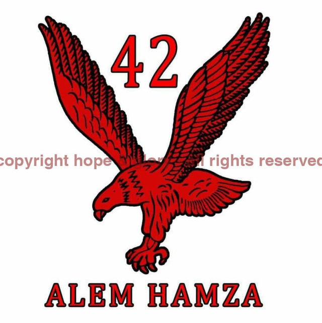 Logo For Right Arm 42 Bty Ra Logo (Red Eagle Alem Hamza) Options_Hidden_Product