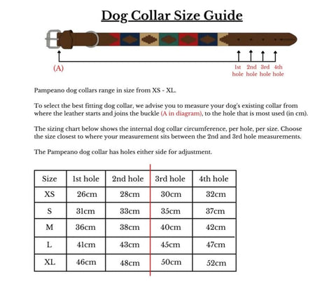 THE HOUSEHOLD DIVISION BRB LEATHER DOG COLLAR