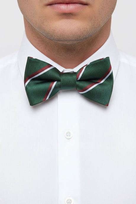 The Staffordshire Regiment Pre-Tied Polyester Bow Tie
