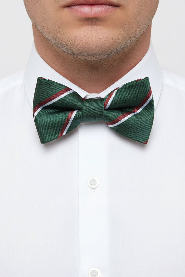 The Staffordshire Regiment Pre-Tied Polyester Bow Tie