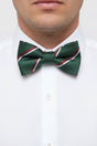 The Staffordshire Regiment Pre-Tied Polyester Bow Tie