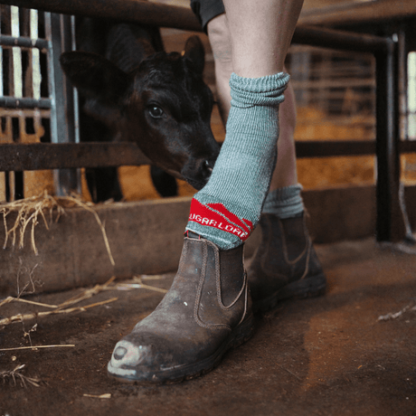 Sugar Loaf Merino Pasture Socks