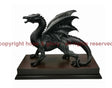 The Dragon Watcher 