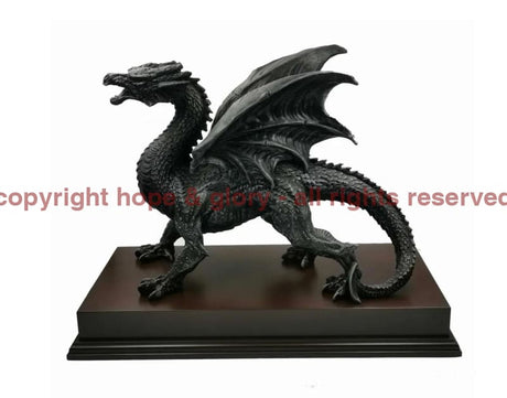 The Dragon Watcher 