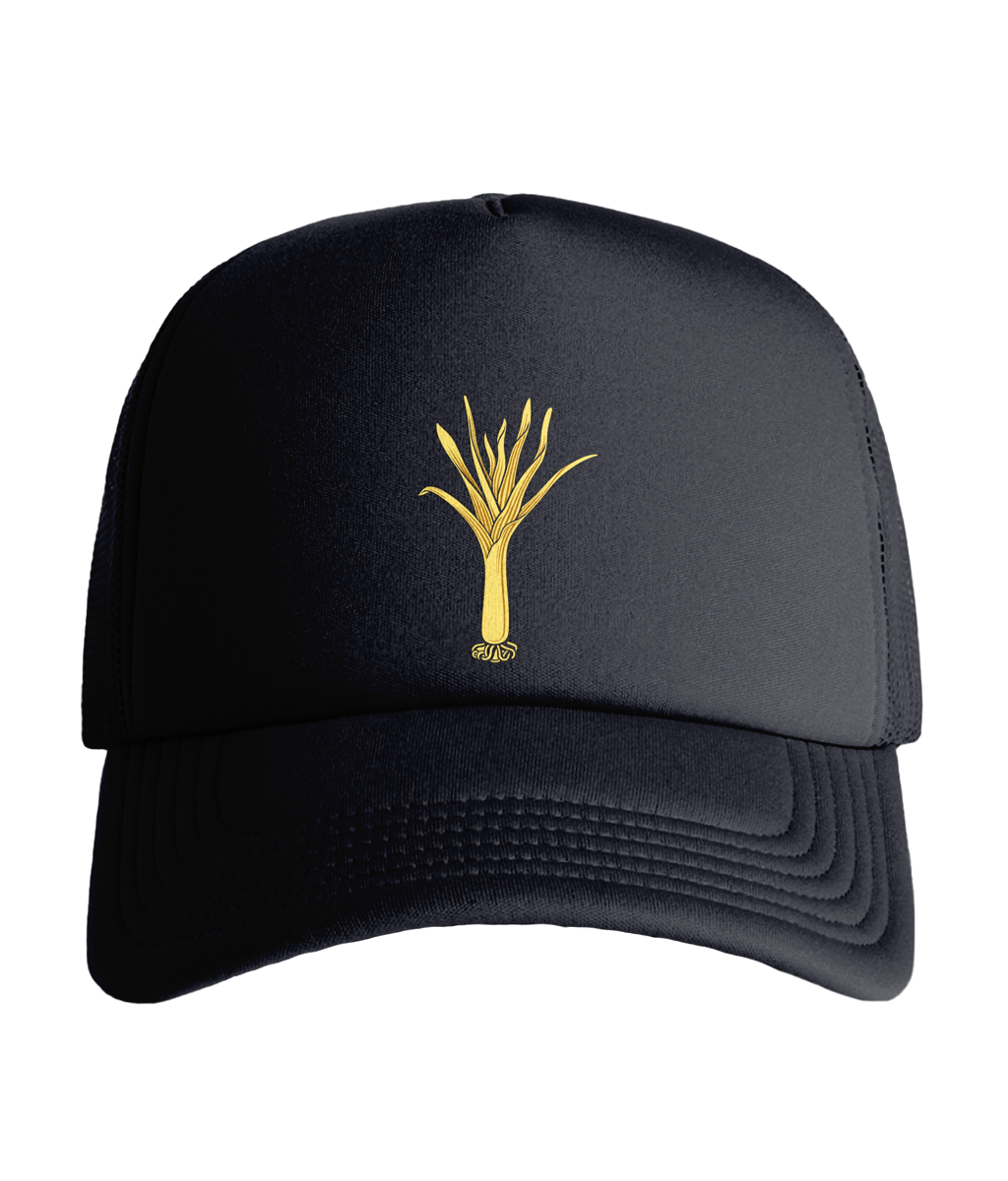 Welsh Guards Cap