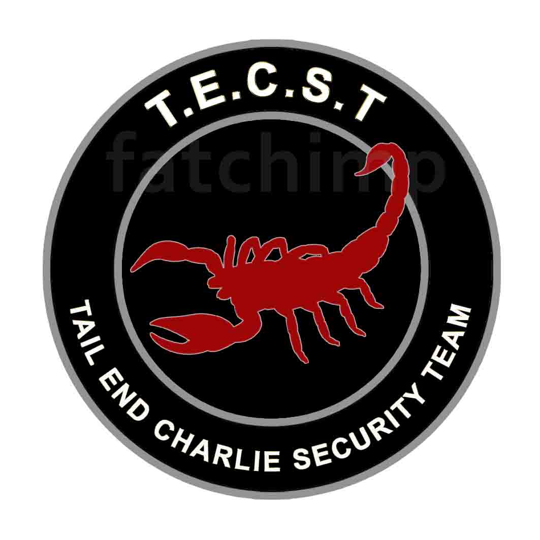 Tail End Charlie Security Team Patch